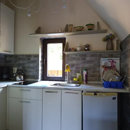Holiday home 2-х поверховий будиночок у синяку Sinyak (Transcarpathia)